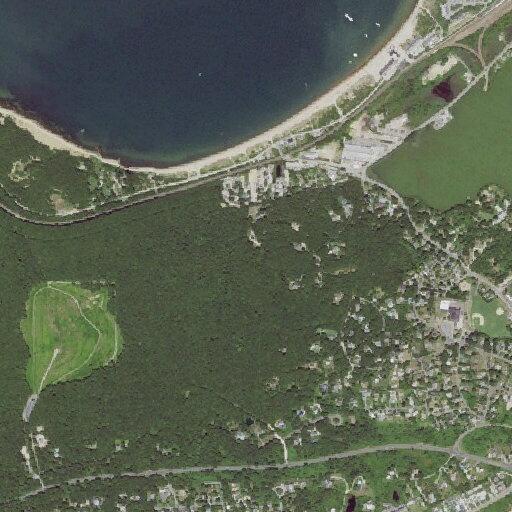 Animal locked inside vehicle in Montauk lot