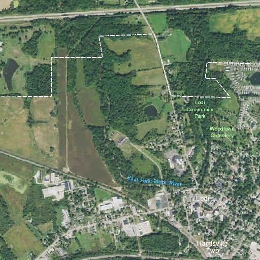 90-year-old female experiencing diarrhea near Bank Street