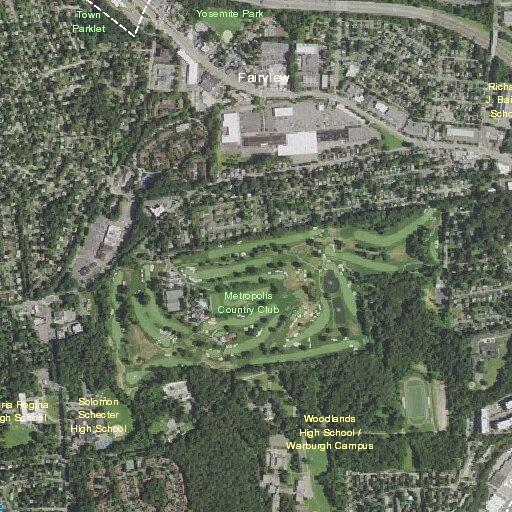 Person injured ankle at Metropolis Country Club