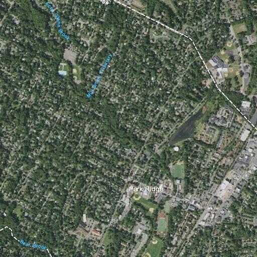 Property damage reported at Mill Pond