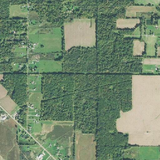 Driver with canceled status stopped on State Route 14