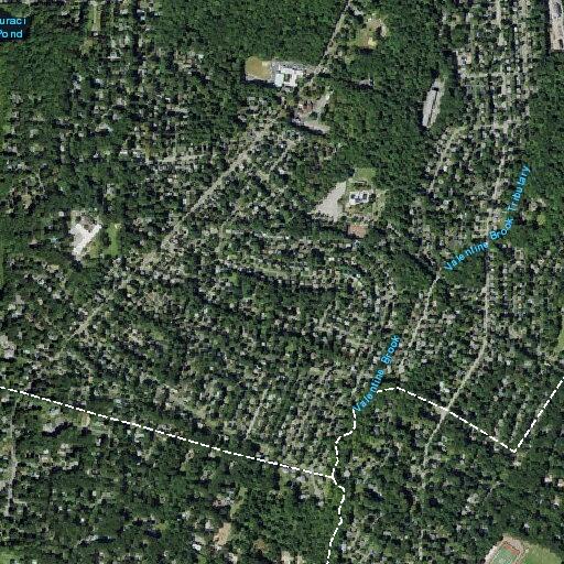 Elderly man found lethargic near Allendale