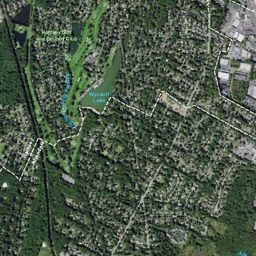 Fallen tree blocks Ackerson Road in Allendale