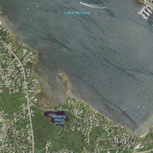 Female suffers cardiac arrest in Montauk