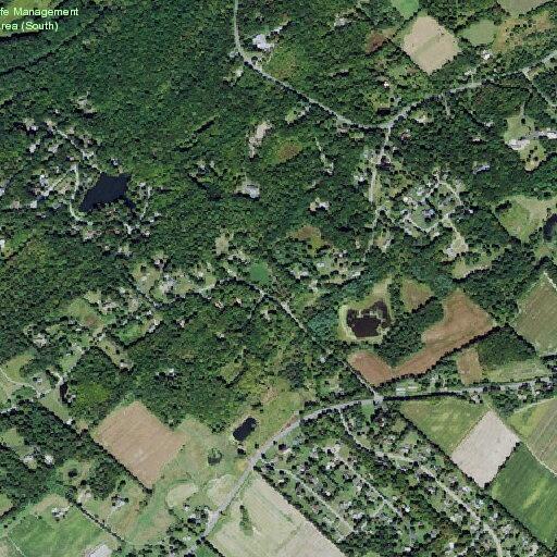 Woman feeling faint near Sunrise Lane in Newton