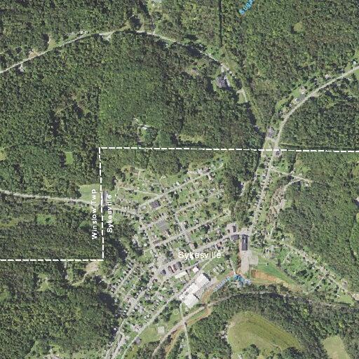 Man acting confused near batting cages in Salem Park