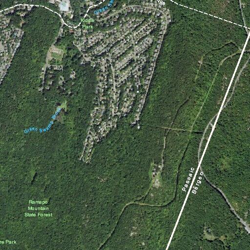 Deceased bear reported on trail near lake