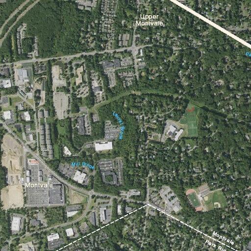 Lift assist for elderly female near Park Ridge
