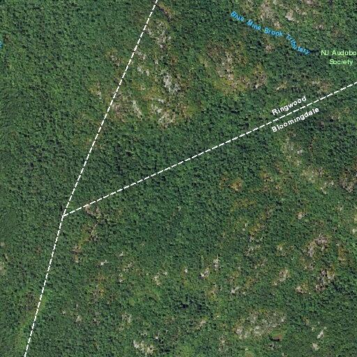 Bear reported by hikers in state forest