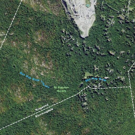 Psychiatric evaluation requested at Snake Den Road