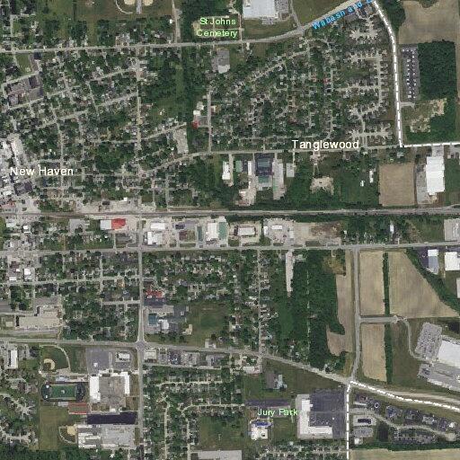Dogs disturbing resident on East Seneca Street