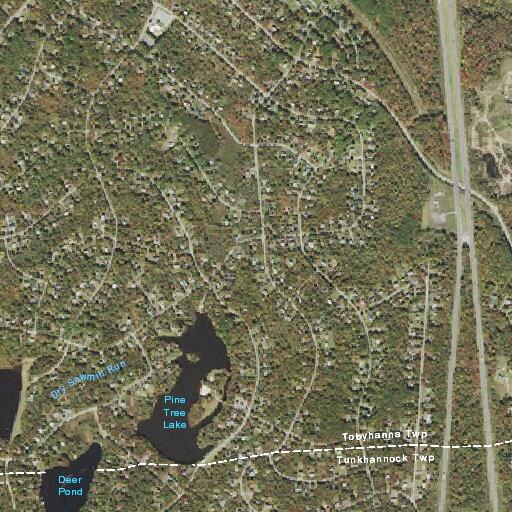 Squatters reported damaging home on Cedar Drive