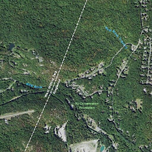 76-year-old woman with head and leg pain at Crescent Drive