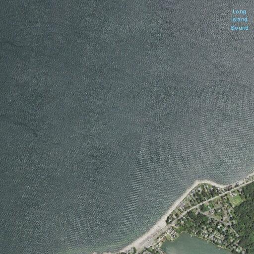 Female youth suffers allergic reaction in Southold