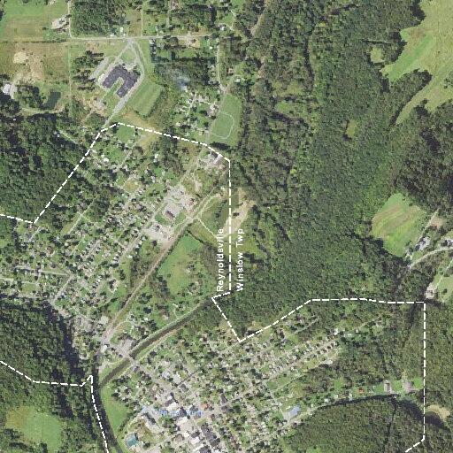 Elderly female with leg swelling and chest pain in Reynoldsville