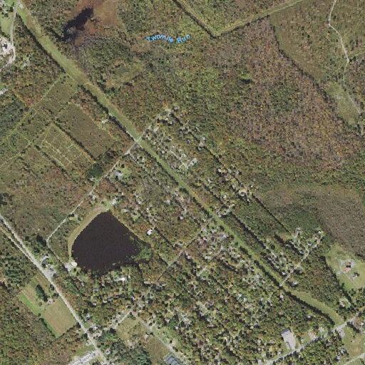 Person experiencing cardiac symptoms in Blakeslee