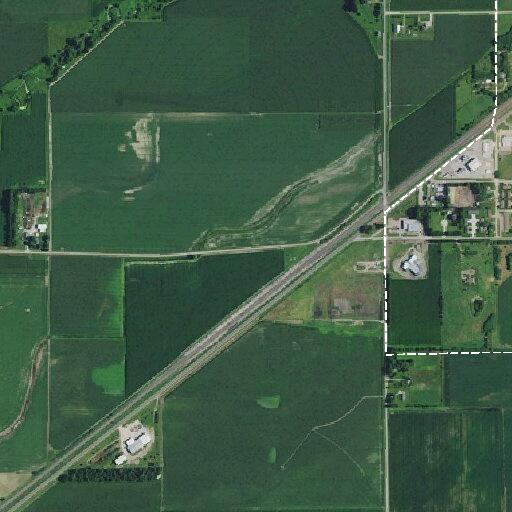 Person treated for dog bite in Palmer