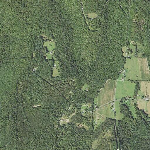 Elderly man falls at home near Knobs Road in Scotia Township