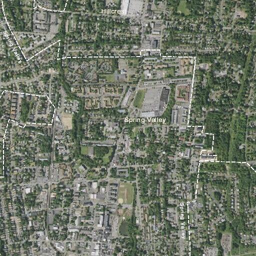 Suspect reported spray painting near Clinton Street