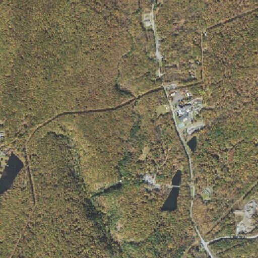 Environmental rescue for young man in Bushkill