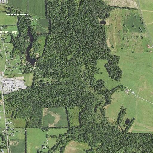 Man experiencing dizziness and congestion at Golden Pond Dr