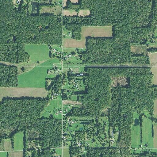 Elderly woman falls and experiences chest pains near McClintocksburg Road