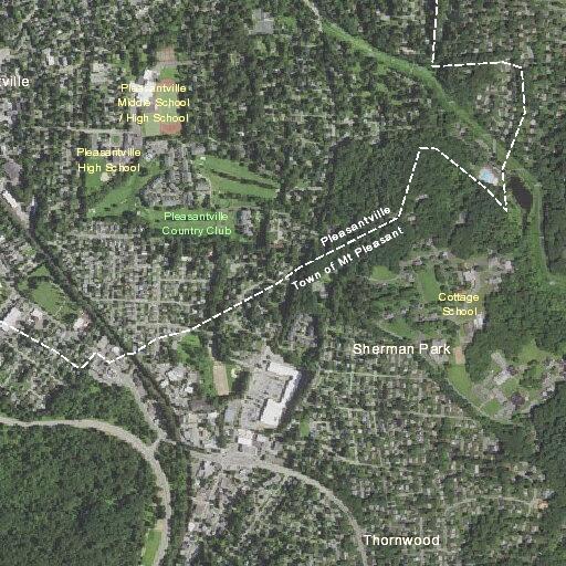 Female injured arm at Arthur Avenue in Thornwood