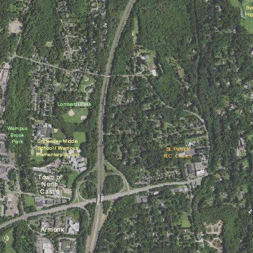 100-year-old male with head injury from fall