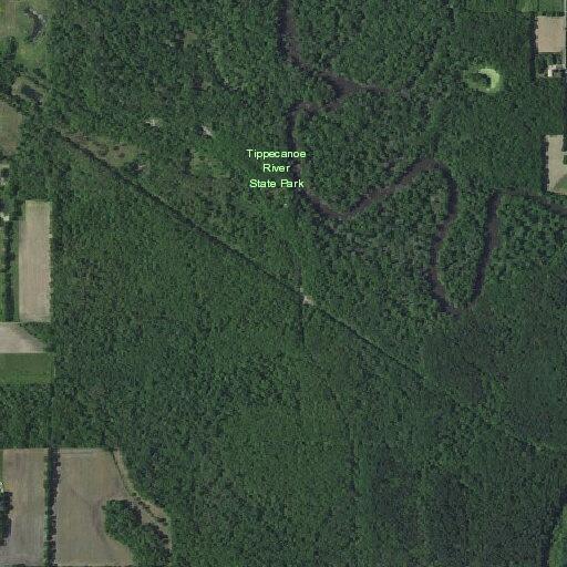 Children and animals locked in running vehicle at park