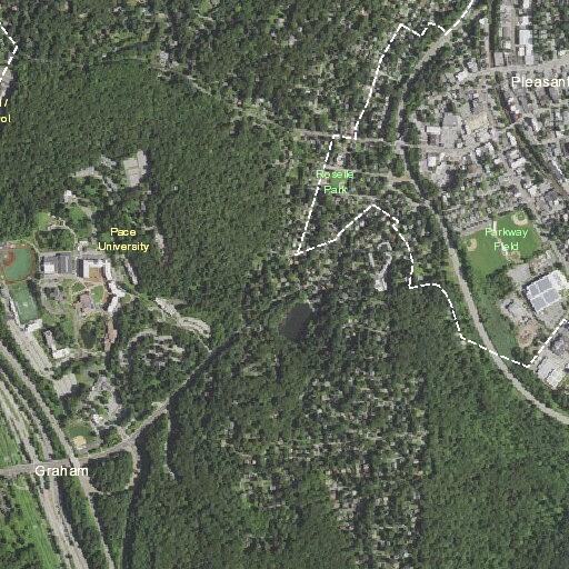Elderly man injured head after fall in Pleasantville