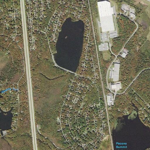 Person with diabetic emergency at Scotch Pine Drive