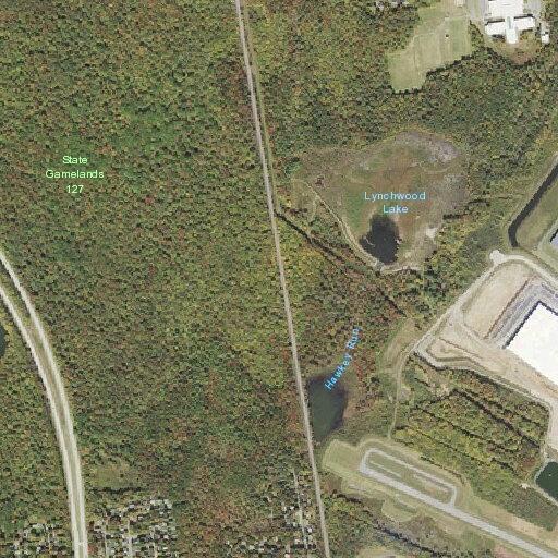 Suspicious man possibly disabled with dog at Sycamore Road