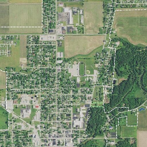 People in tree reportedly armed with guns