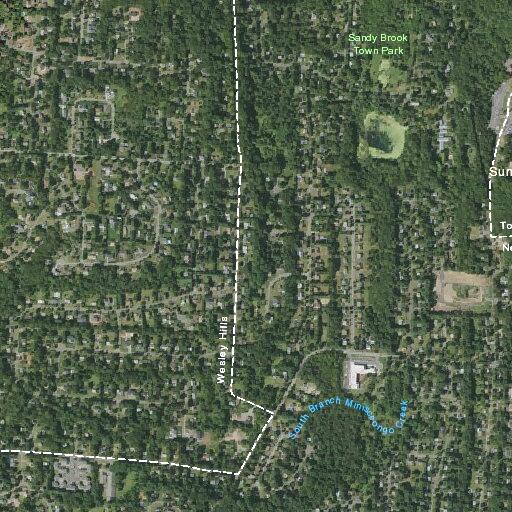 Person with burn injury near Union Road in Spring Valley