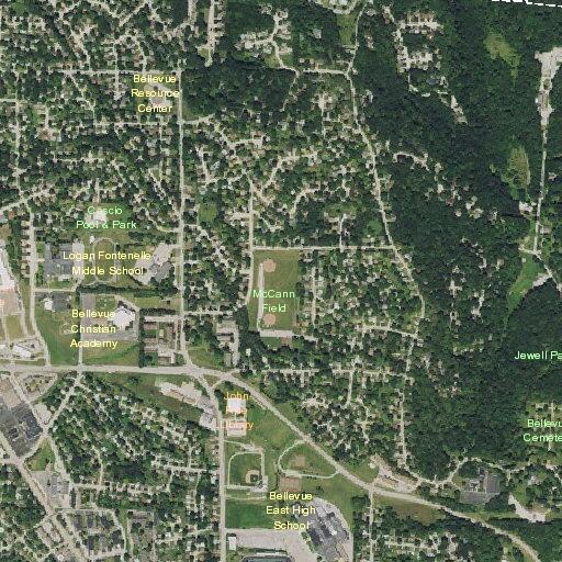 Loose dog reported near Normandy and Sherman