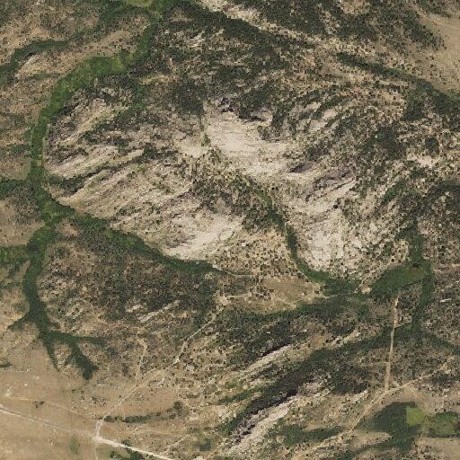 Search for juvenile at Turtle Rock recreation area