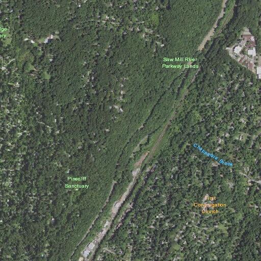 Elderly woman evaluated for hallucinations near Castle Road