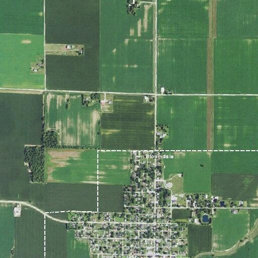 Female reported ill near North Main Street in Bloomdale