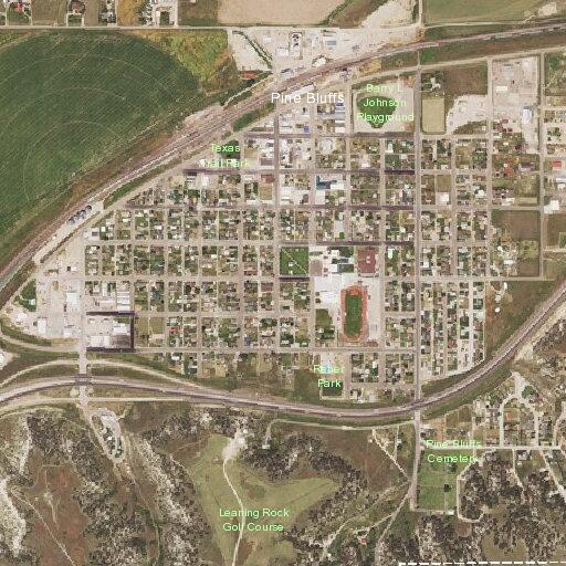 Female bitten by dogs near Maple Street in Pine Bluffs