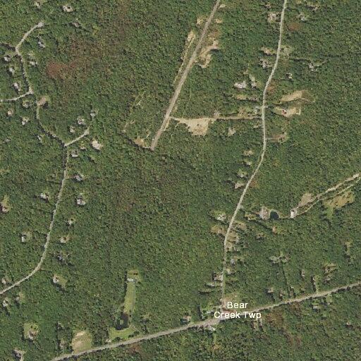 Woman aged 55 reports abdominal pain in Bear Creek