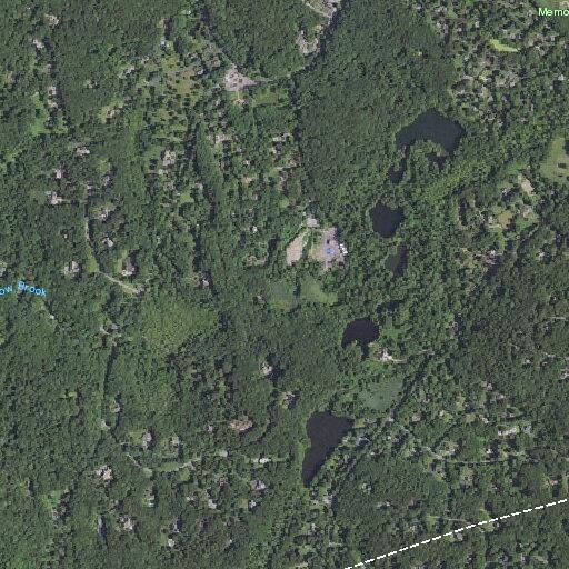 81-year-old woman with head injury from fall