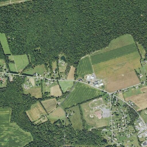 77-year-old woman with rapid heart rate at Route 54