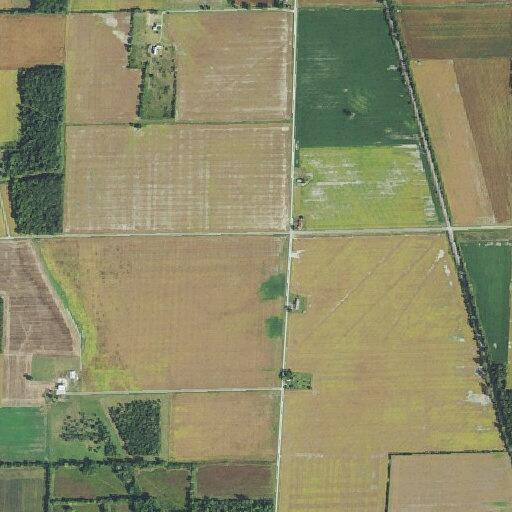 Elderly woman found lethargic and immobile near North County Road 31