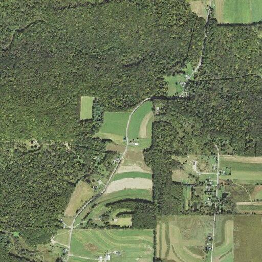 Person experiencing abdominal pain at Emerson Drive