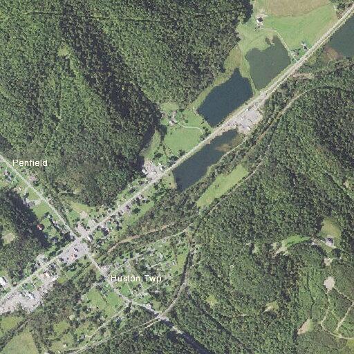 Elderly man falls and cannot walk in Penfield