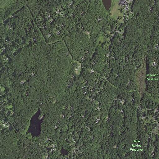 Tree fire near Stone Hill Road nature preserve
