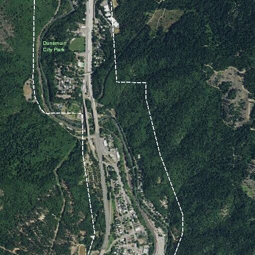 Female with general illness near Shasta Avenue in Dunsmuir