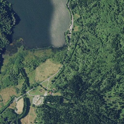 Man injured by elk kick at RV resort site