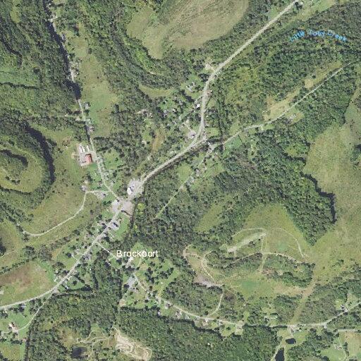 Elderly man falls near Boggy Run Road in Elk County