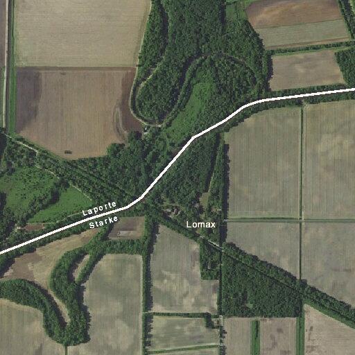 Loose dogs reported on South 900 West